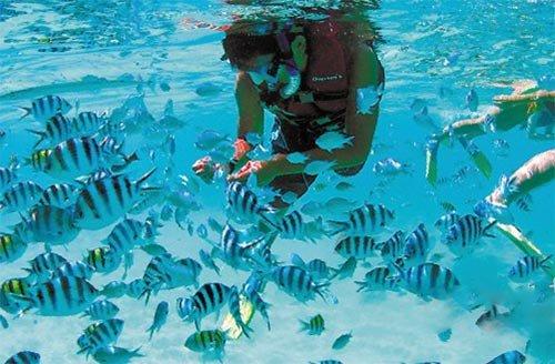 交出现代化新青海建设的崭新答卷