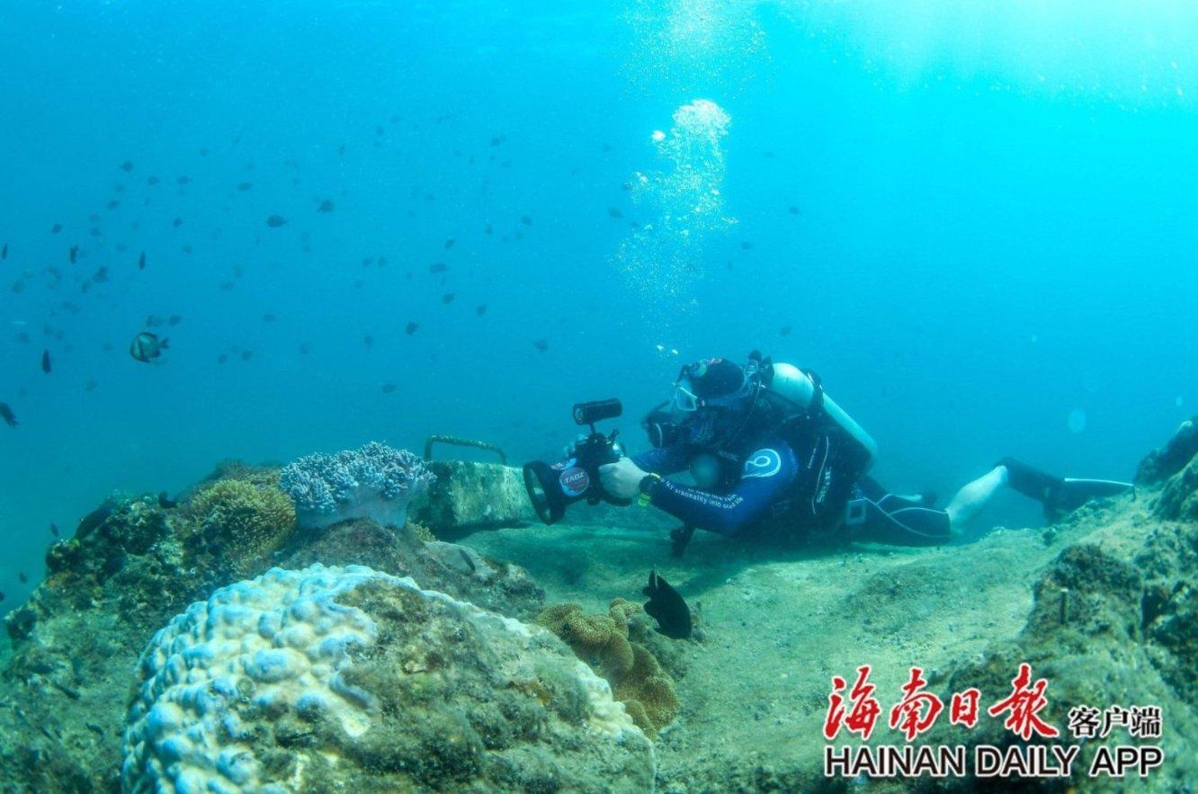 冰娃与火娃3