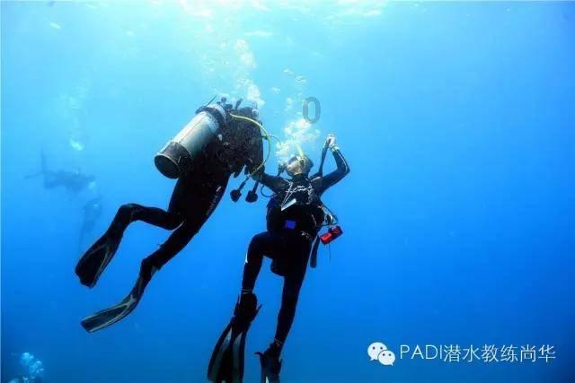四项基本原则是指什么？游戏画面